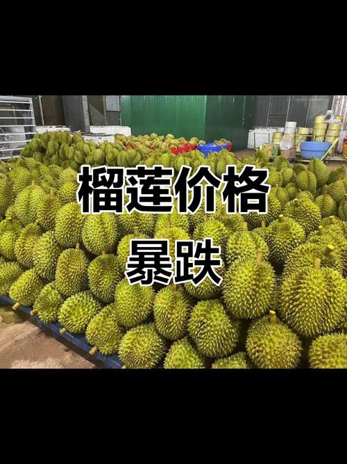 新澳2025正版免費資料和榴莲价格暴跌50%与榴莲价格暴跌50元