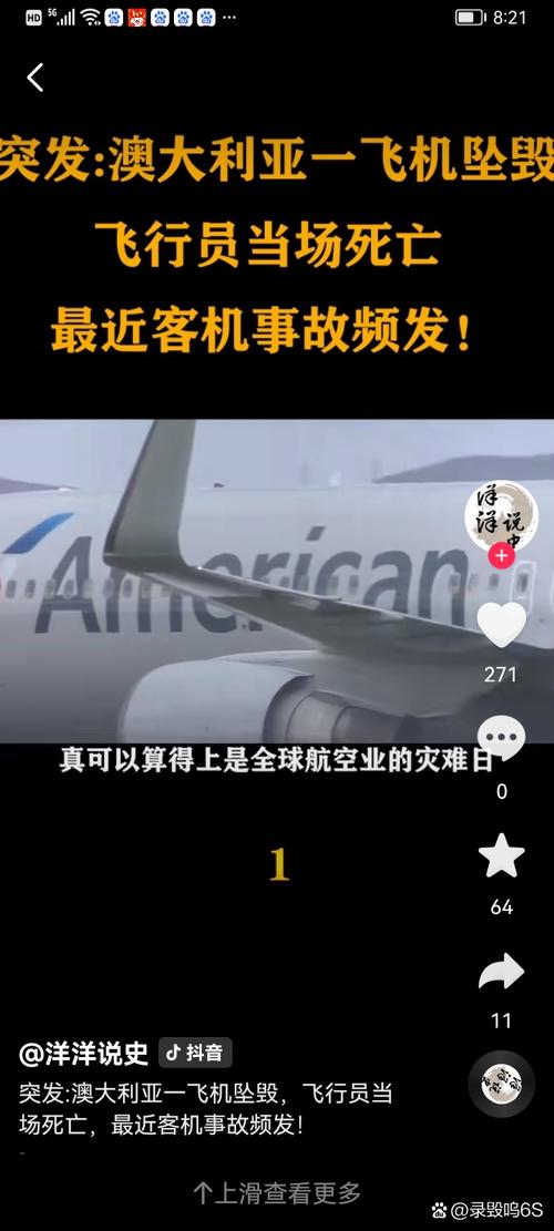 2025年新澳资料图和韩国坠机致4人遇难与韩国坠机事件