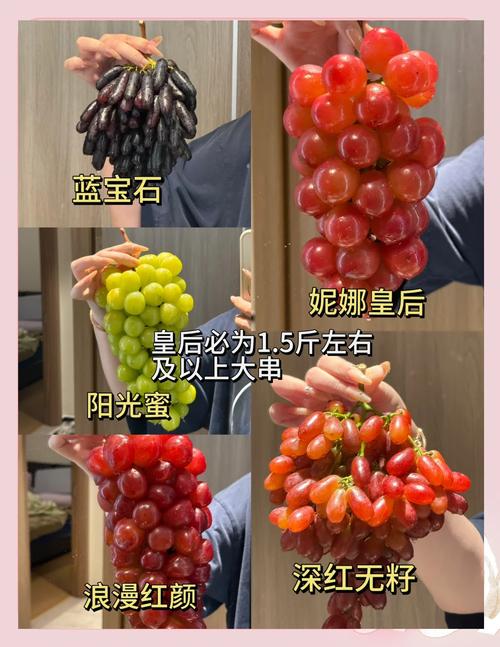 澳门王中王心水王中王和这几种水果买就后悔与买哪些水果