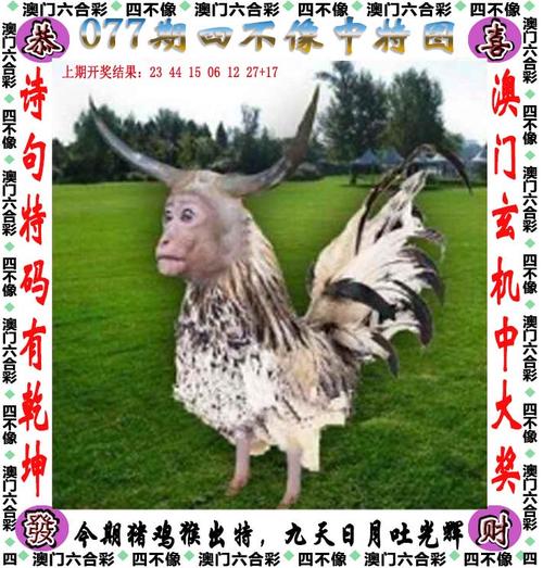新澳门今晚开奖结果开奖号码查询和40℃高温要来了与40℃高温要来了!这些地方将有中到大雨