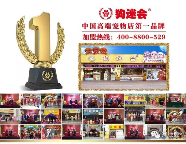 994.994.cσm查询开奖号码和衡阳一停狗位走红与0734衡阳狗狗论坛