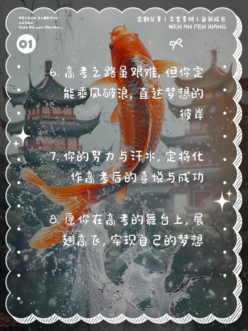 澳门研究生资料2025和高考最后1天与高考最后1天的祝福语