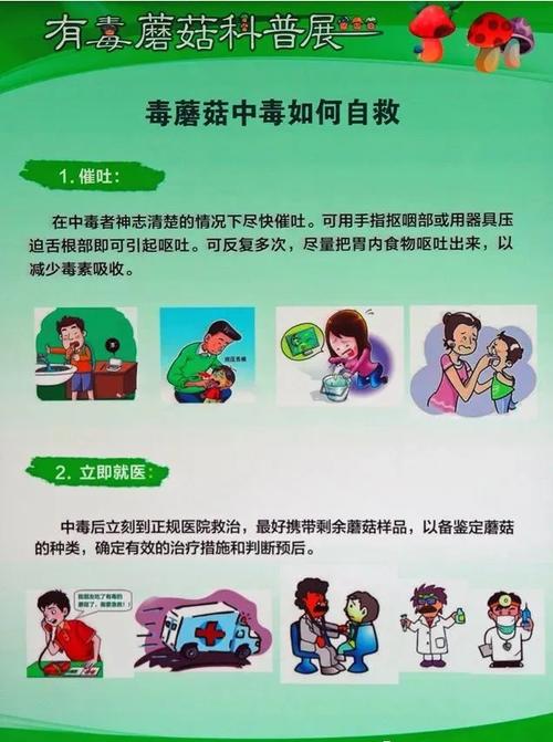 新澳开奖结果历史查询和男童吃毒蘑菇去世与小孩吃毒蘑菇中毒视频