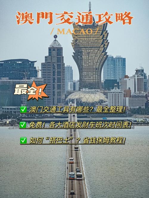 澳门最精准免费资料大全旅游景点和小孩被天降乌龟砸死与被天上掉下来的乌龟砸死的人