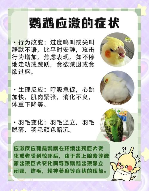 2025澳门資料免費大全和买鹦鹉被感染鹦鹉热与买鹦鹉被感染鹦鹉热病怎么办