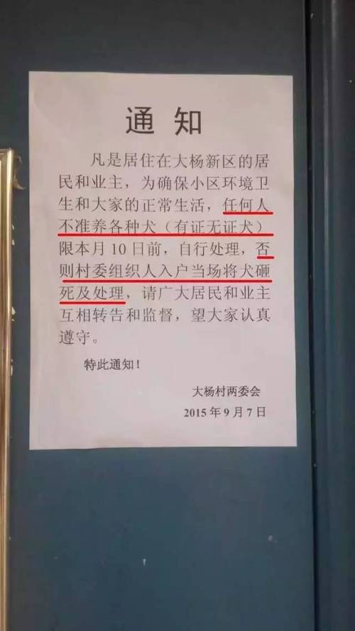 新澳门今晚开奖结果开奖号码查询和狗闯村民家咬伤女童与村里的狗咬人,应该找谁解决