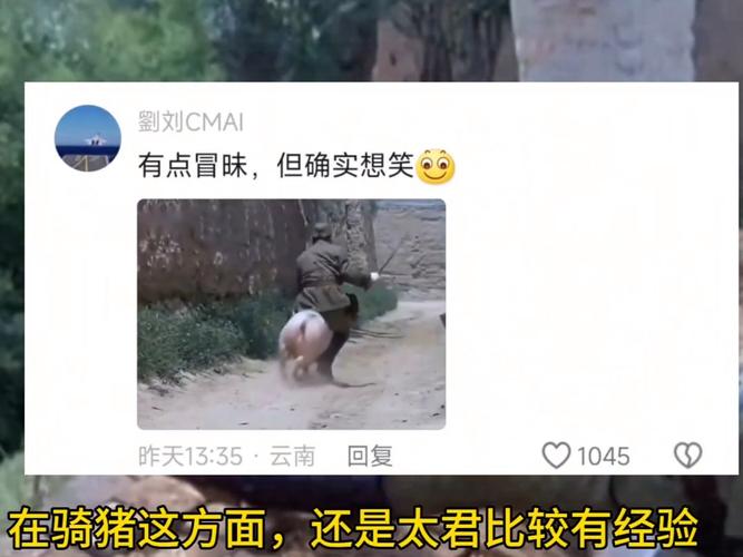 澳门今晚开奖结果+开奖记录和9岁男孩骑猪上学与9岁男孩骑猪上学怎么办